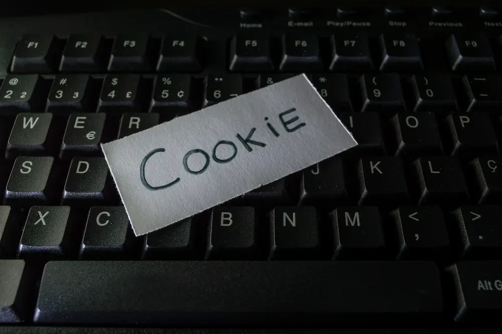 The Cookieless “future” of Digital Marketing